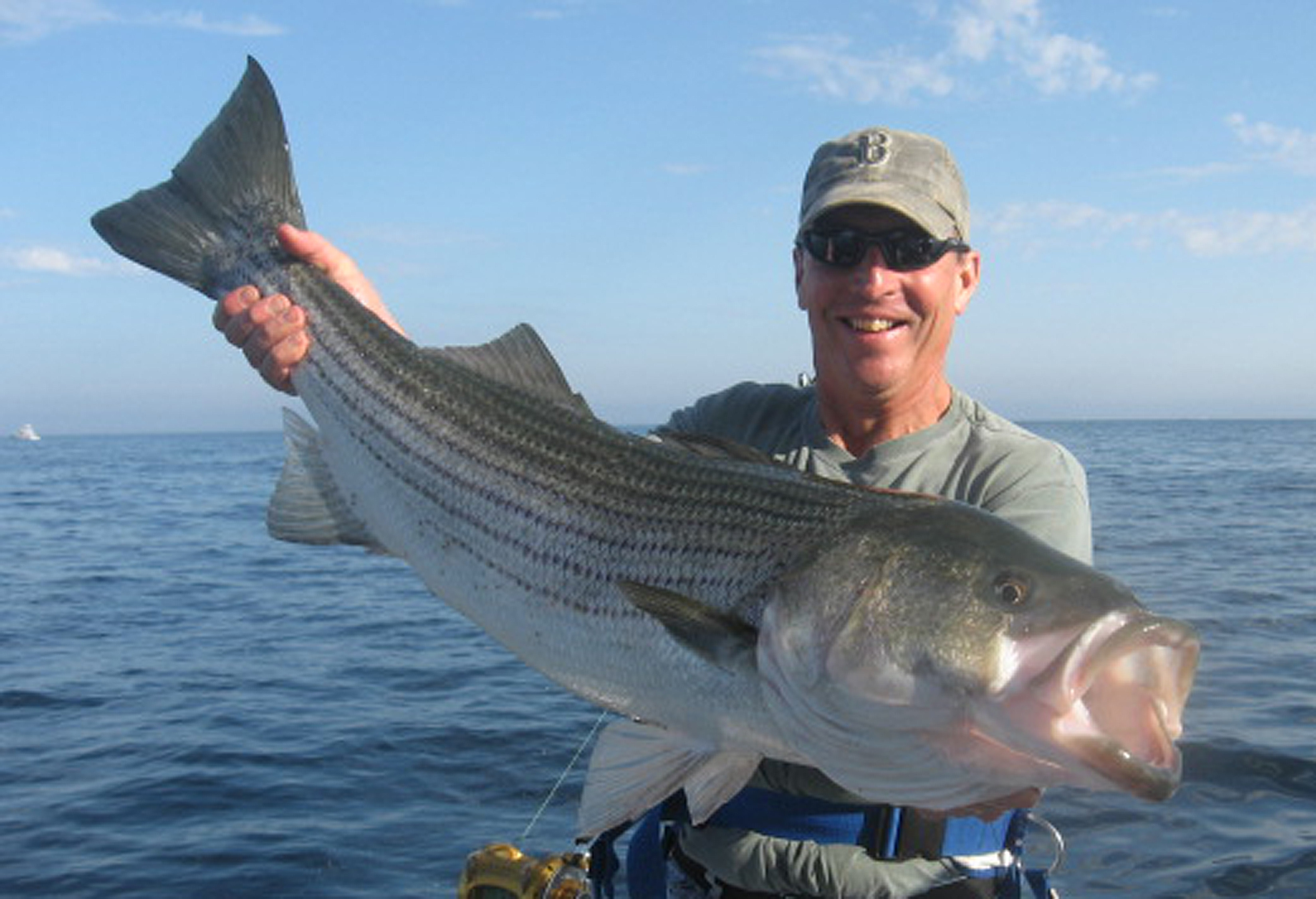 Big Bass in Mass Bay